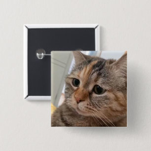 Bóton Quadrado 5.08cm Botão de Pino do Meme Cats Talking