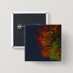 Bóton Quadrado 5.08cm Botão de queda do arco-íris