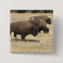 Bóton Quadrado 5.08cm Botão de Yellowstone do búfalo