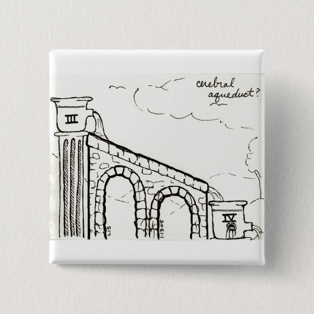 Bóton Quadrado 5.08cm Botão do aqueduto cerebral (Frente)