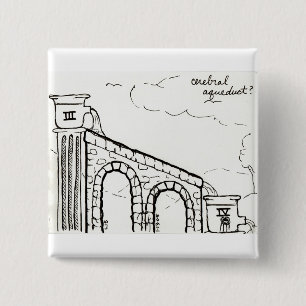 Bóton Quadrado 5.08cm Botão do aqueduto cerebral