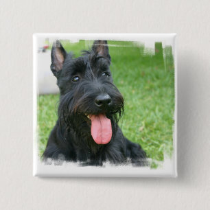 Bóton Quadrado 5.08cm Botão do cão de Terrier do Scottish