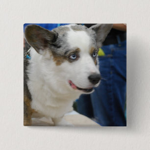 Bóton Quadrado 5.08cm Botão do cão do Corgi de Galês do casaco de lã