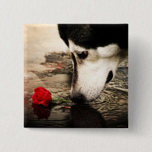 Bóton Quadrado 5.08cm Botão do cão e da rosa vermelha
