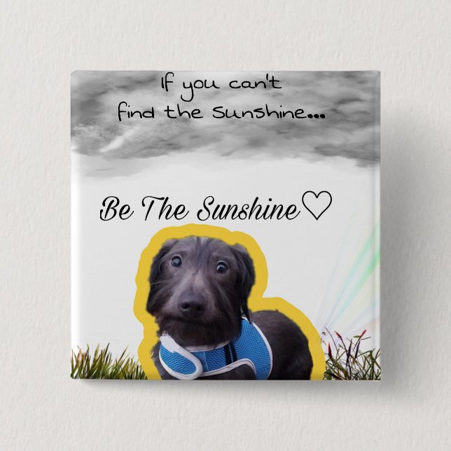 Bóton Quadrado 5.08cm Botão do Dachshund (Frente)