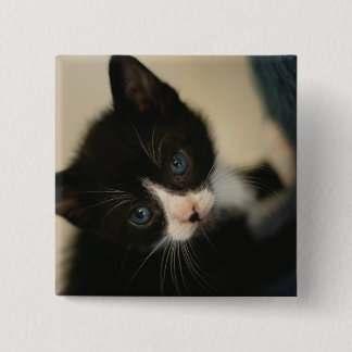 Bóton Quadrado 5.08cm Botão do gatinho de BW