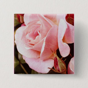 Bóton Quadrado 5.08cm Botão do rosa do rosa