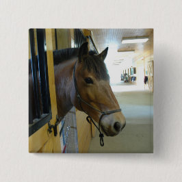 Bóton Quadrado 5.08cm Botão do titã