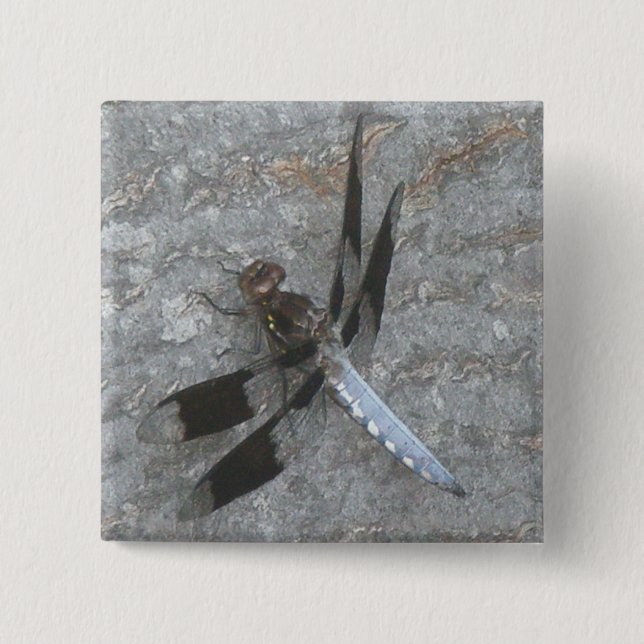 Bóton Quadrado 5.08cm Botão Dragonfly Azul (Frente)