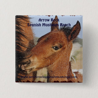 Bóton Quadrado 5.08cm Botão Foal de Mustang espanhol