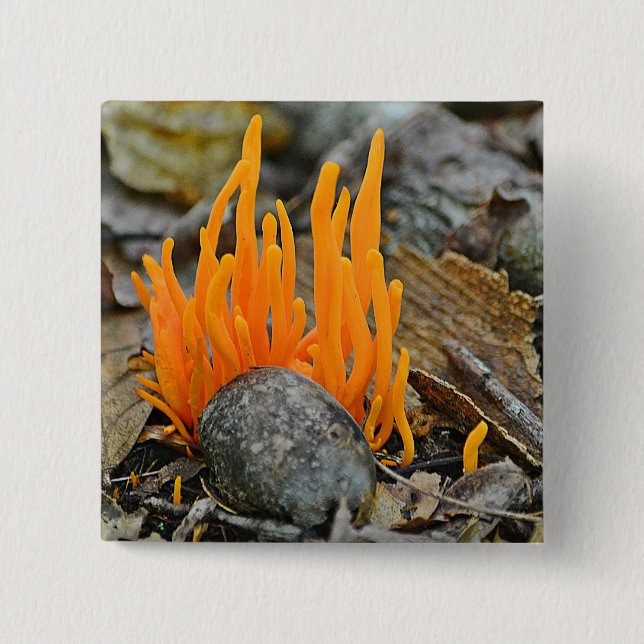 Bóton Quadrado 5.08cm Botão Fungi Funky (Frente)