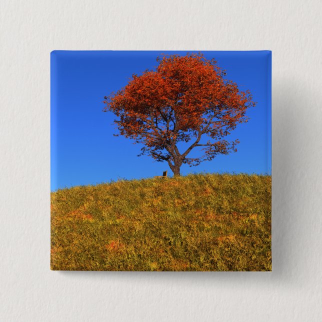 Bóton Quadrado 5.08cm Botão Limpar Dia de outono (Frente)