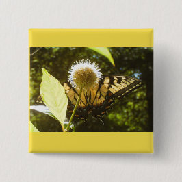 Bóton Quadrado 5.08cm Botão Monarca Amarelo