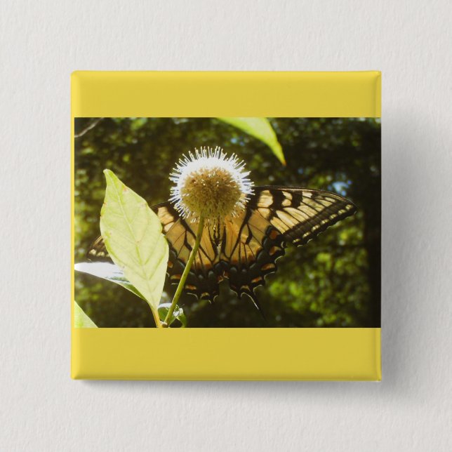 Bóton Quadrado 5.08cm Botão Monarca Amarelo (Frente)