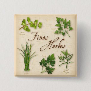 Bóton Quadrado 5.08cm Botão Multas Herbes