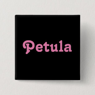 Bóton Quadrado 5.08cm Botão Petula