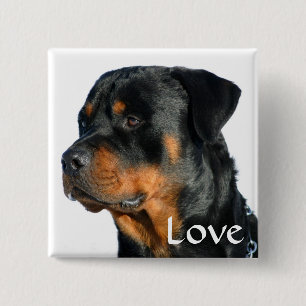 Bóton Quadrado 5.08cm Botão Pin de Cachorro Preto e Marrom do Rottweile