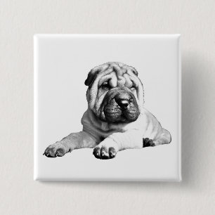 Bóton Quadrado 5.08cm Botão Quadrado Brilhante Shar Pei