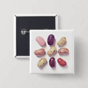 Bóton Quadrado 5.08cm Botão quadrado TOE JELLY BEANS TAC TIC