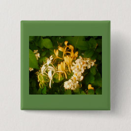 Bóton Quadrado 5.08cm Botão Rosa de Honeysuckle Selvagem