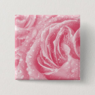 Bóton Quadrado 5.08cm Botão Rosa Rosa Rosa Rosa Rosa Cintilante