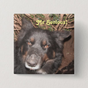 Bóton Quadrado 5.08cm Botão Rouco Collie Cross