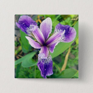Bóton Quadrado 5.08cm Botão roxo da íris