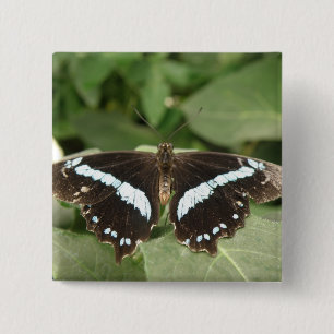 Bóton Quadrado 5.08cm Botão Tropical Preto e Branco