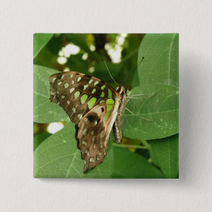 Bóton Quadrado 5.08cm Botão Verde Iridescente Tropical