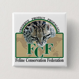 Bóton Quadrado 5.08cm Botões quadrados