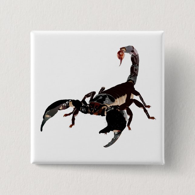 Bóton Quadrado 5.08cm Botões Skorpion (Frente)