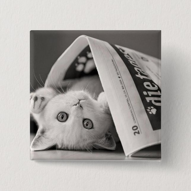 Bóton Quadrado 5.08cm Botton Cat (Frente)