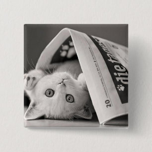 Bóton Quadrado 5.08cm Botton Cat