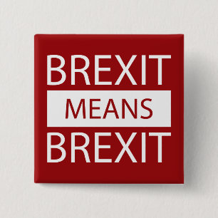 Bóton Quadrado 5.08cm Brexit significa Brexit