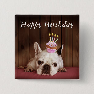 Bóton Quadrado 5.08cm Buldogue francês com cupcake do aniversário