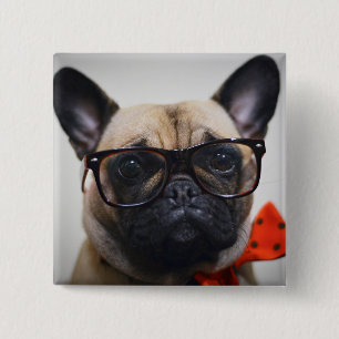 Bóton Quadrado 5.08cm Buldogue francês com vidros e laço