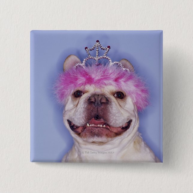 Bóton Quadrado 5.08cm Buldogue vestindo tiara (Frente)