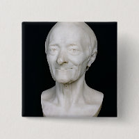 Busto de Voltaire sem sua peruca, 1778