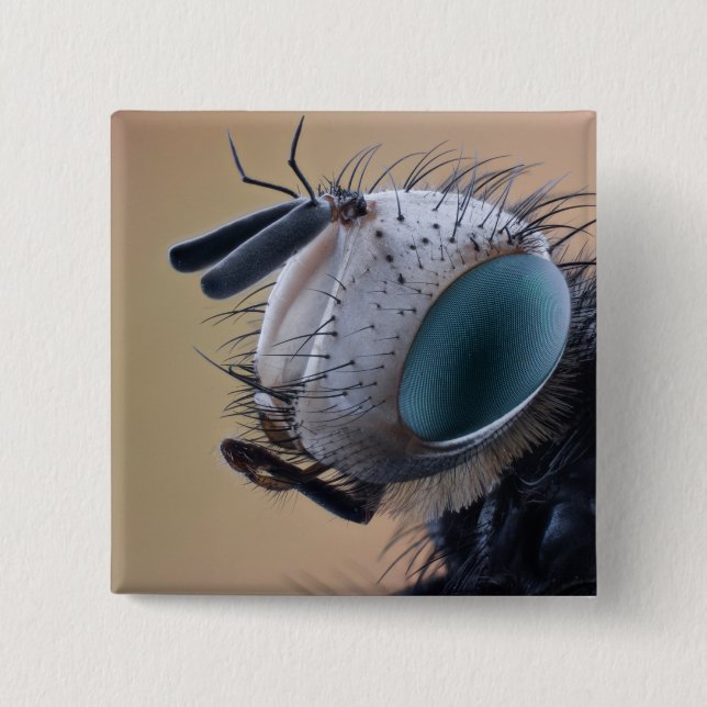 Bóton Quadrado 5.08cm Cabeça de Insetos de Fechamento (Frente)