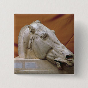 Bóton Quadrado 5.08cm Cabeça de um cavalo do Selene