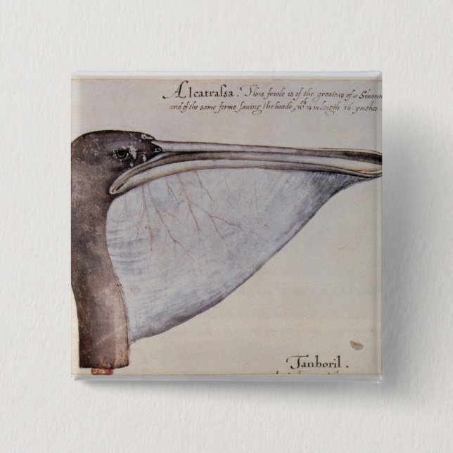 Bóton Quadrado 5.08cm Cabeça de um pelicano de Brown (Frente)