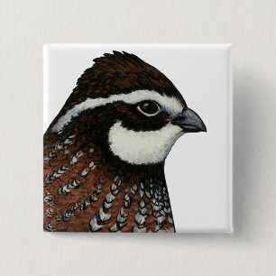 Bóton Quadrado 5.08cm Cabeçalho Bobwhite