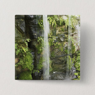 Bóton Quadrado 5.08cm Cachoeira, floresta húmida temperada, Nova