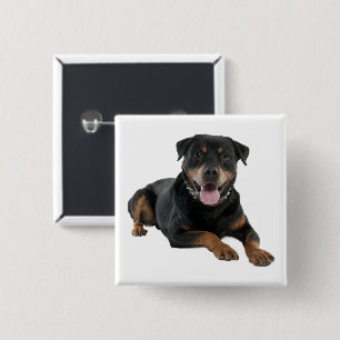 Bóton Quadrado 5.08cm Cachorro Bonito Amante do Rottweiler