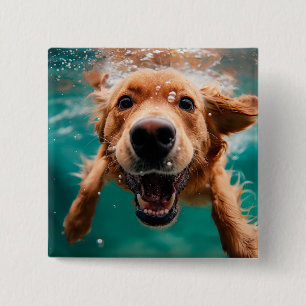 Bóton Quadrado 5.08cm Cachorro Golden Retriever Feliz Nadando Submerso