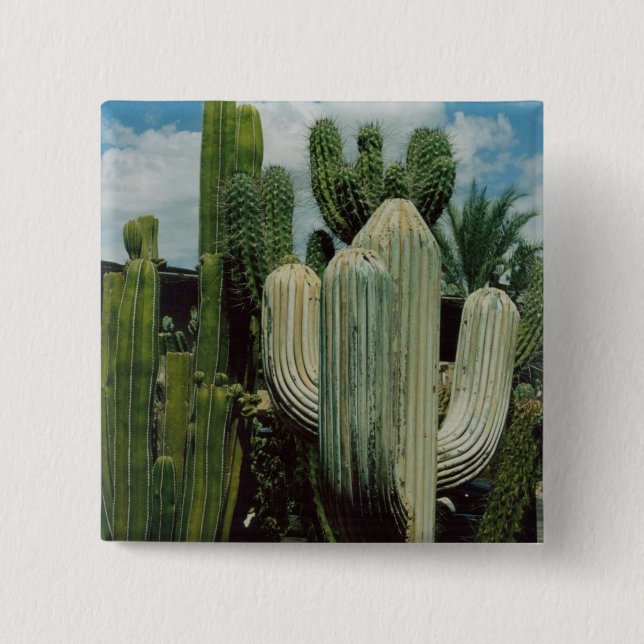 Bóton Quadrado 5.08cm Cacto da arizona (Frente)