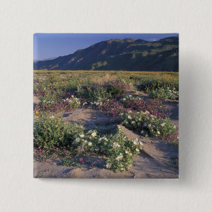 Bóton Quadrado 5.08cm Califórnia, Anza-Borrego Desert SP, Areia