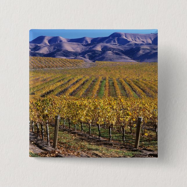 Bóton Quadrado 5.08cm Califórnia, San Luis Obispo County, Edna Valley (Frente)