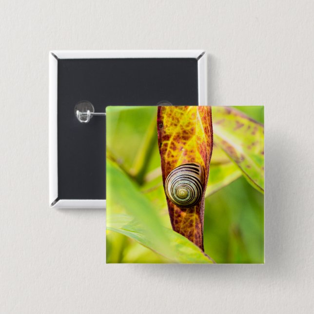 Bóton Quadrado 5.08cm calma (Frente & Verso)