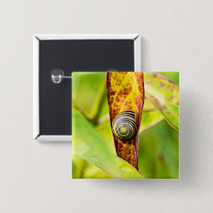 Bóton Quadrado 5.08cm calma